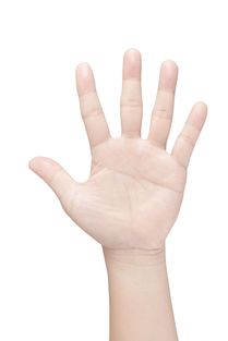 最全最稀少最罕见的手相（最全最稀少最罕见的手相食指和无名指等长手）