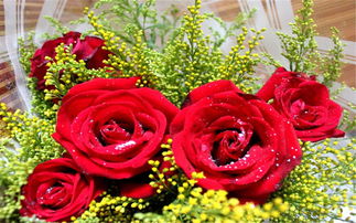 送玫瑰花一般送多少朵（送玫瑰花一般送多少朵颜色代表什么）