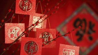 中国传统节日以及风俗有哪些（中国有哪些传统节日和风俗?）