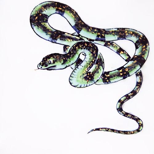 属蛇的性格（属蛇的性格和脾气优点和缺点）