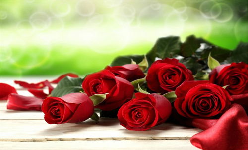 男生送19朵玫瑰用意（送男生19朵玫瑰花的含义）