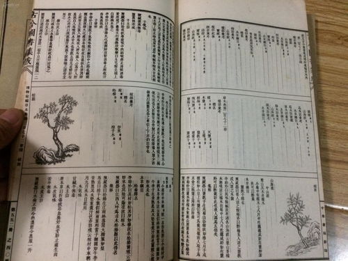 中国古代十大风水书籍推荐(风水类古籍书)