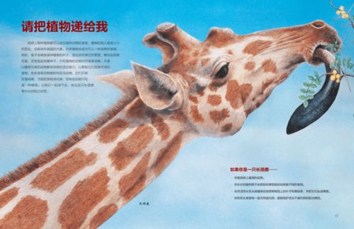 动物书籍推荐中国(中国常见动物的书籍)