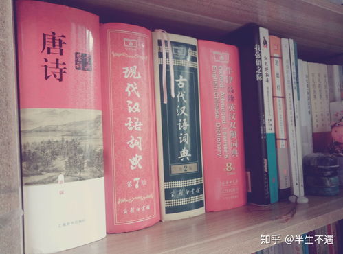 了解唐朝书籍推荐(要了解唐朝的历史该读哪些书)