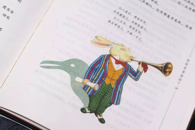 兔子插画书籍推荐(兔子插画师)