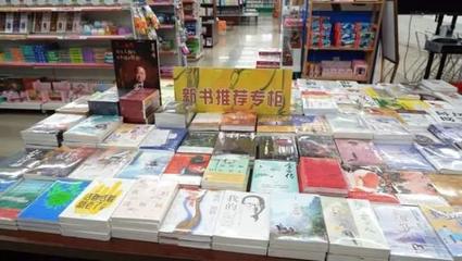 上海的书籍推荐(了解上海的书)