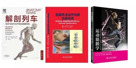 筋骨治疗书籍推荐(筋骨疗法)